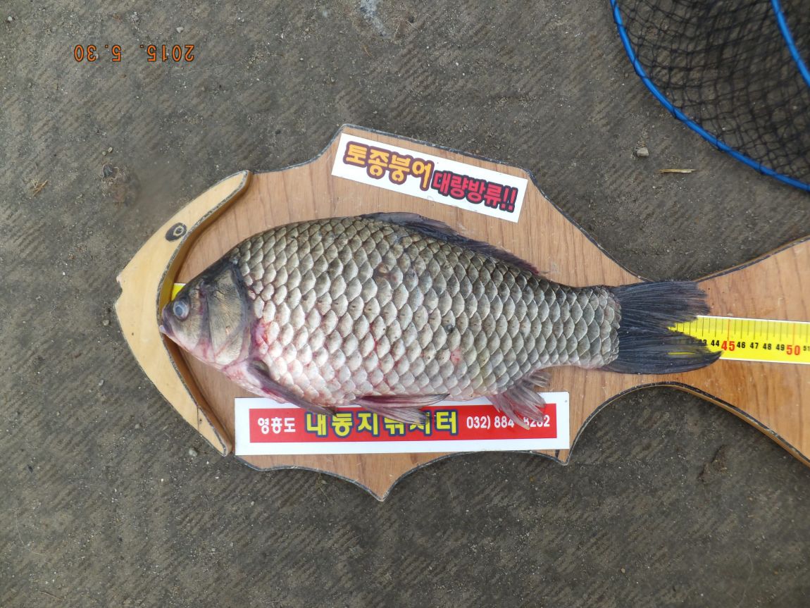 201300703 011.jpg