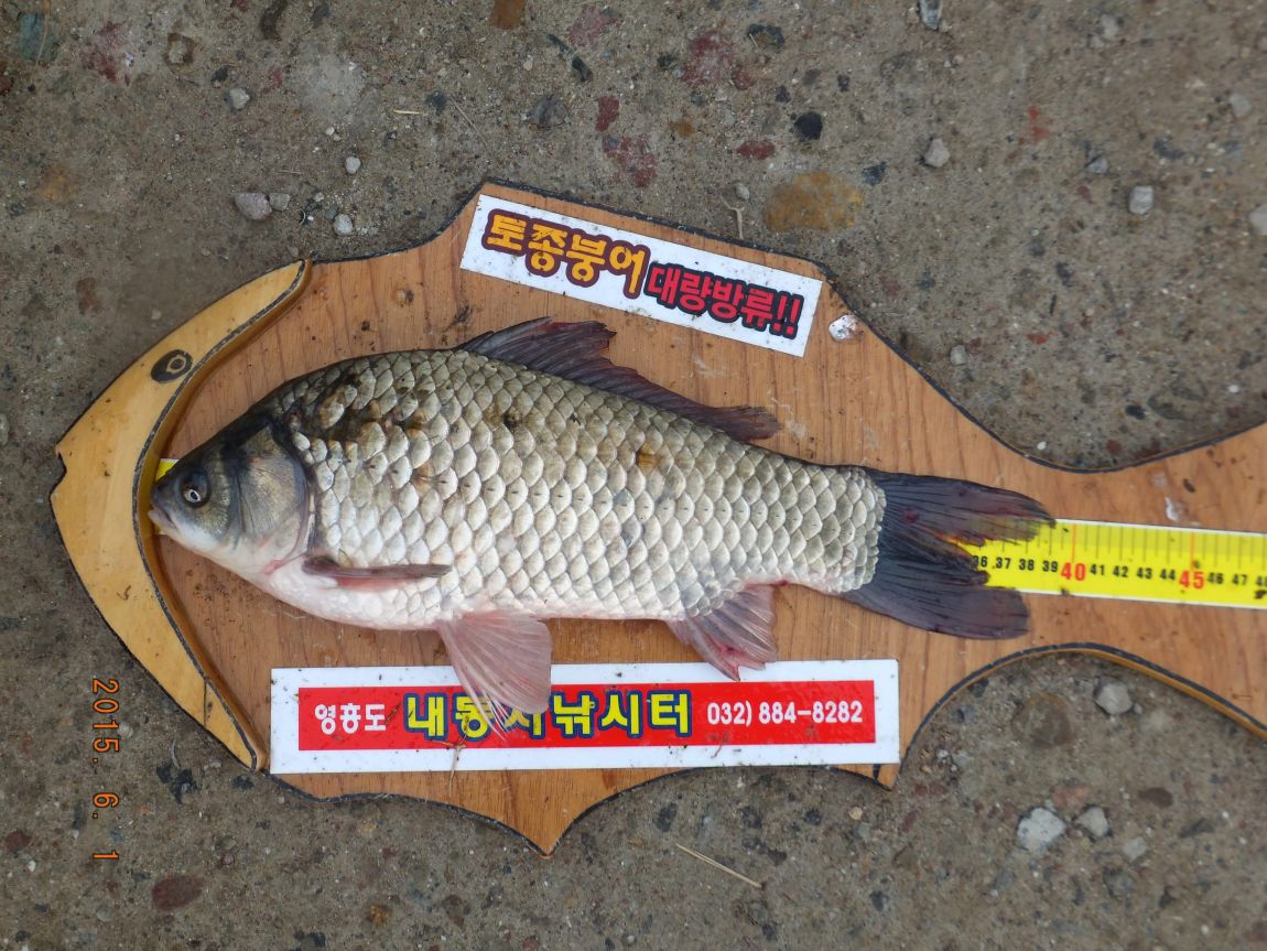 201300703 151.jpg