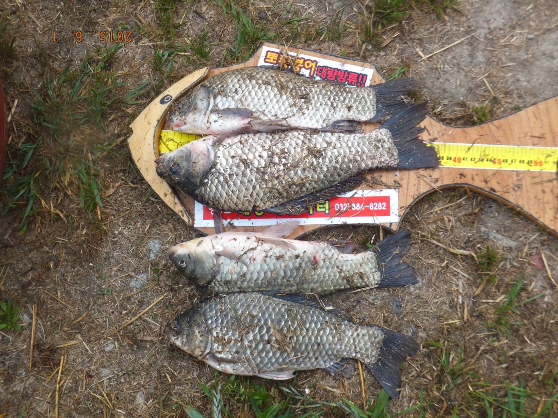 201300703 136.jpg