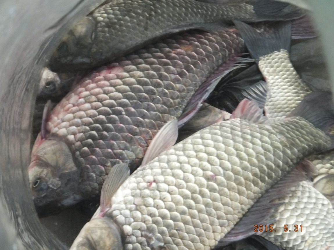 201300703 094.jpg