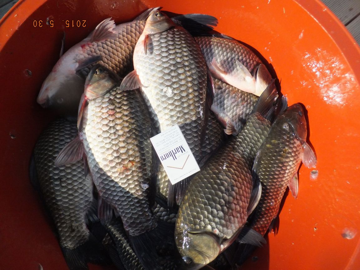 201300703 048.jpg