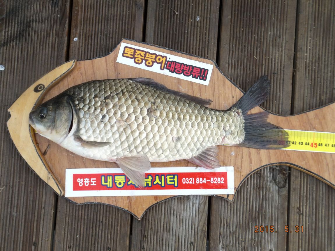 201300703 100.jpg