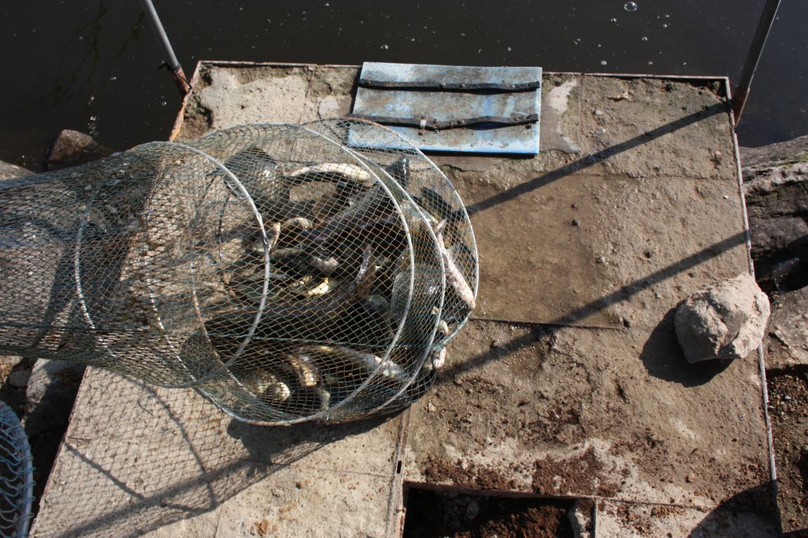 6��01�� 021.JPG