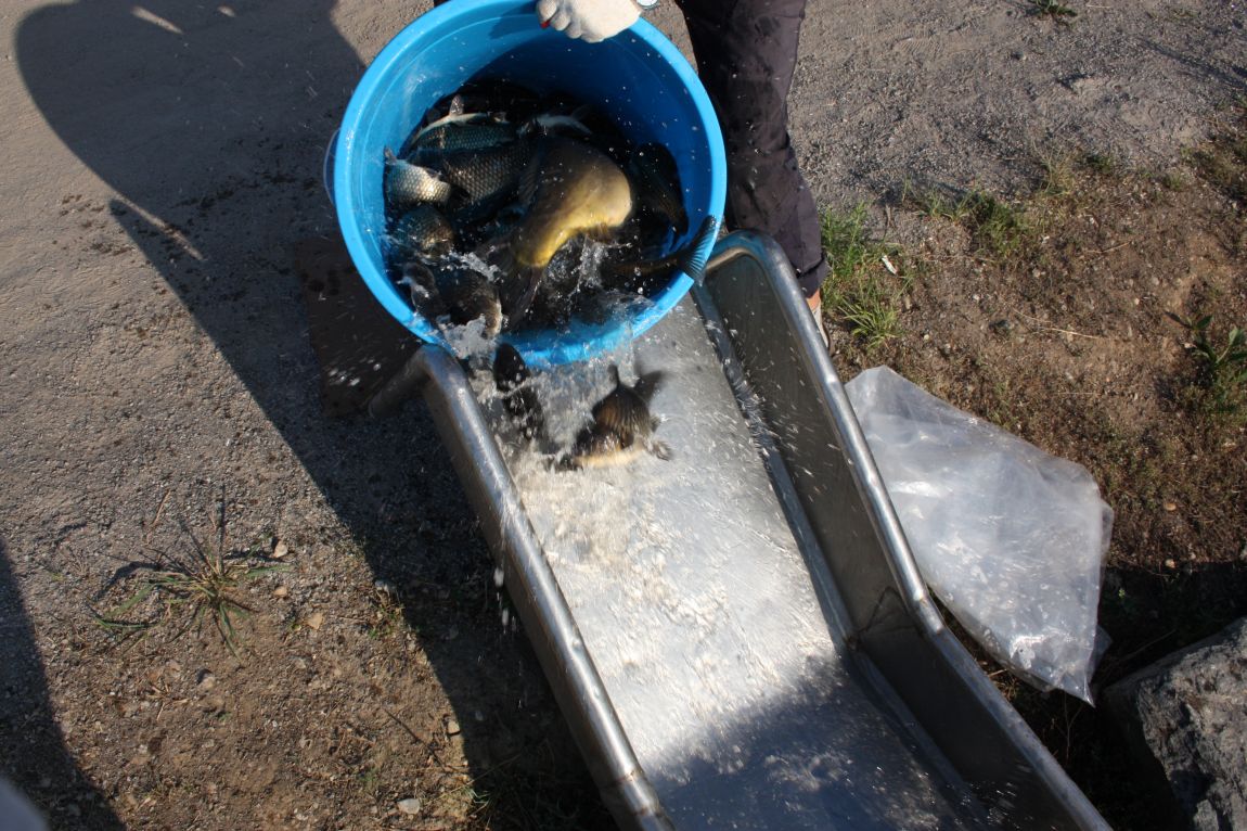 6��01�� 002.JPG