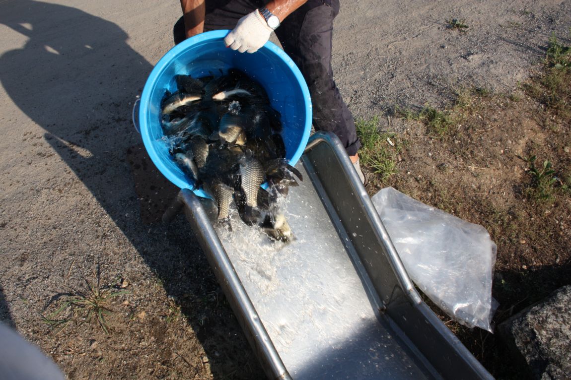 6��01�� 005.JPG