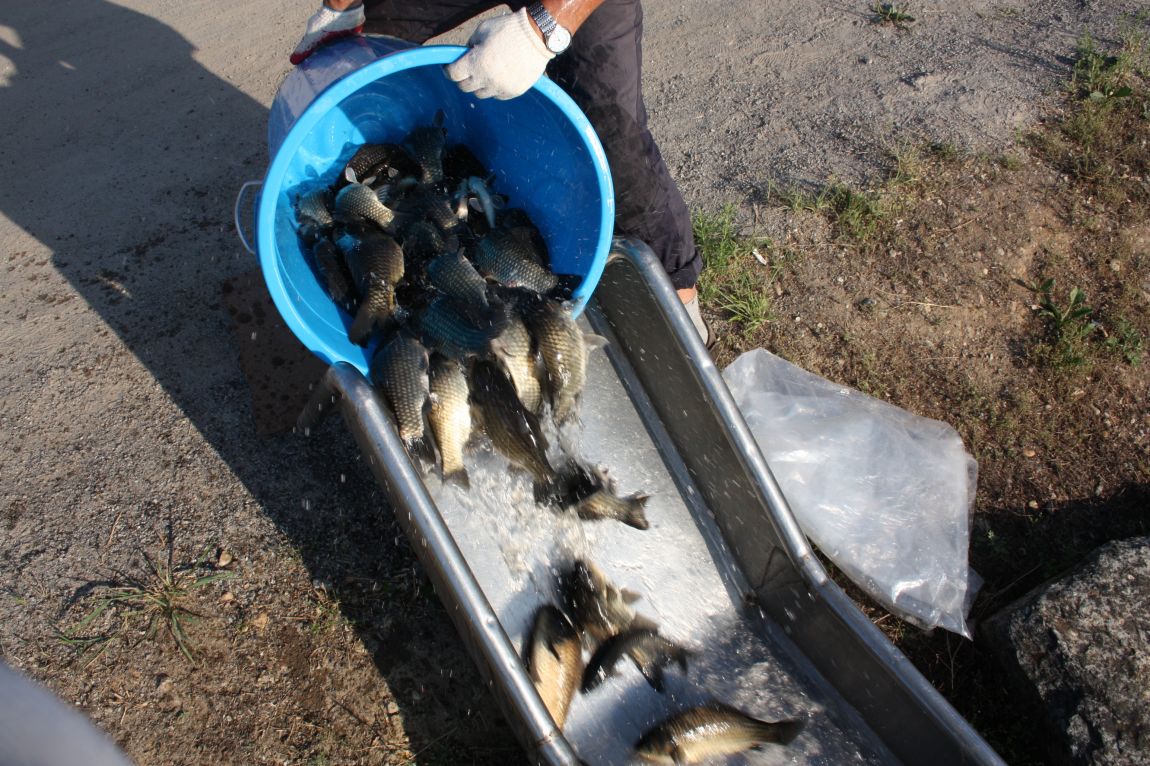 6��01�� 009.JPG