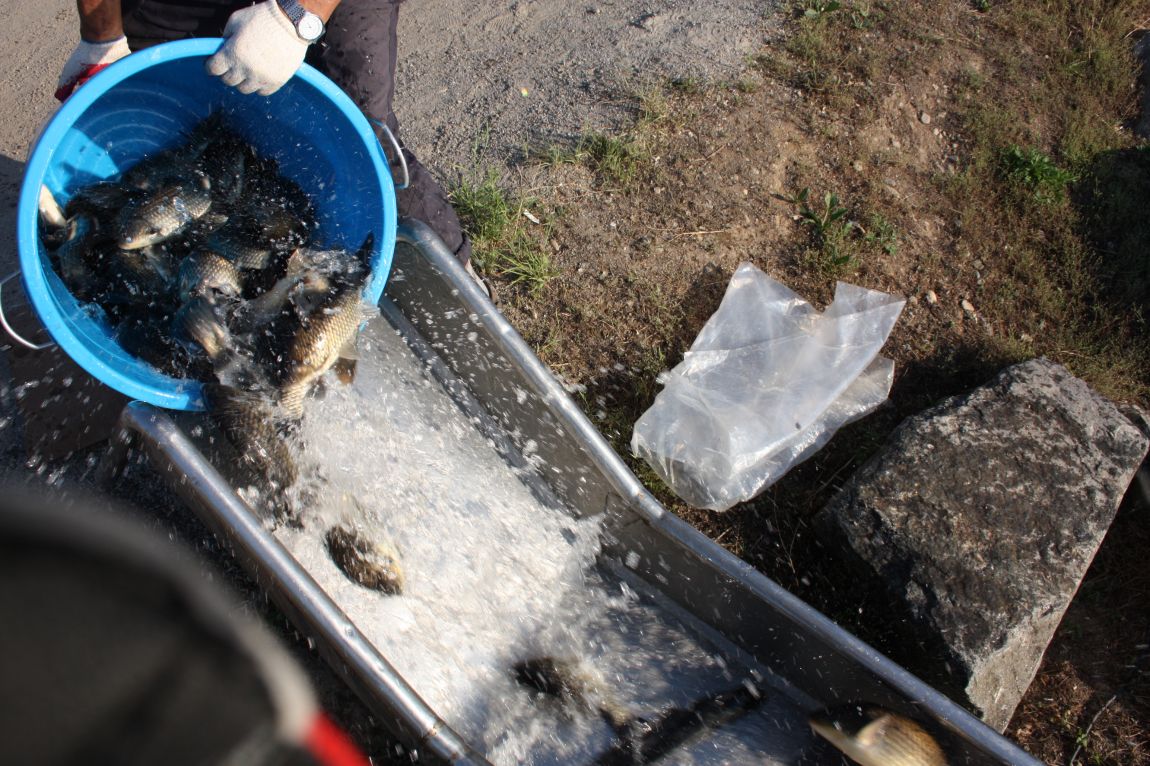 6��01�� 015.JPG