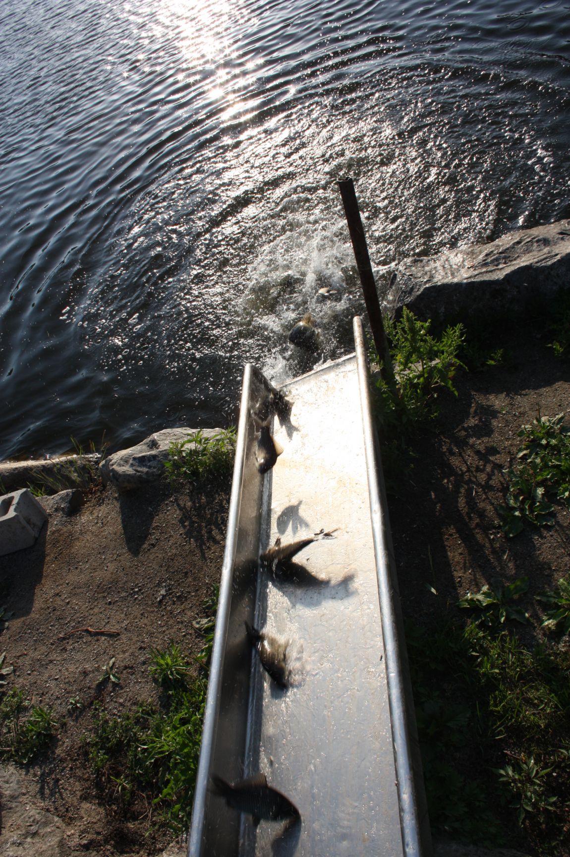 6��01�� 020.JPG