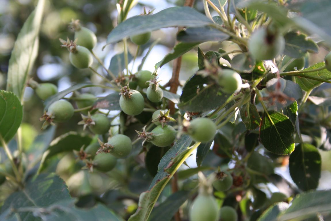 6��01�� 034.JPG