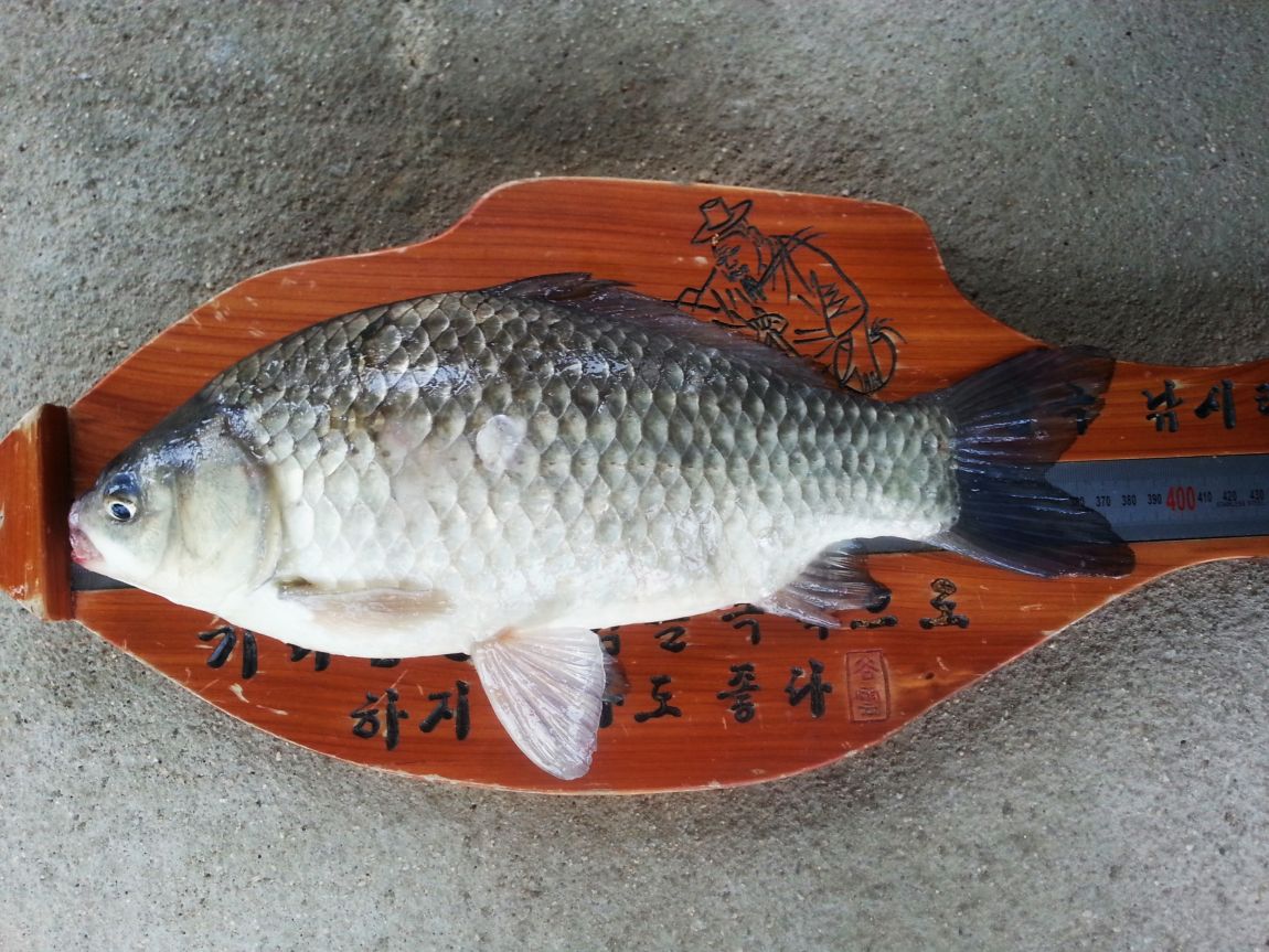 20150530_130114.jpg