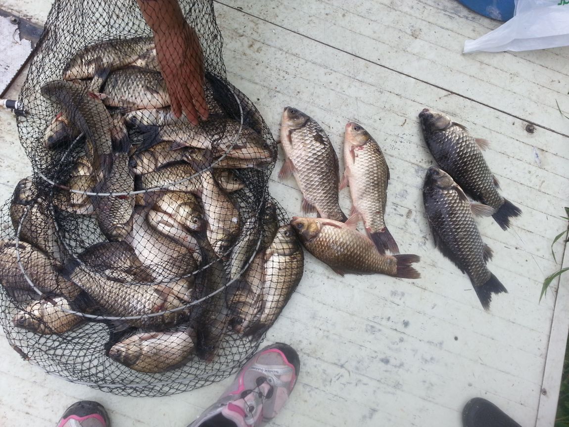 20150530_094737.jpg