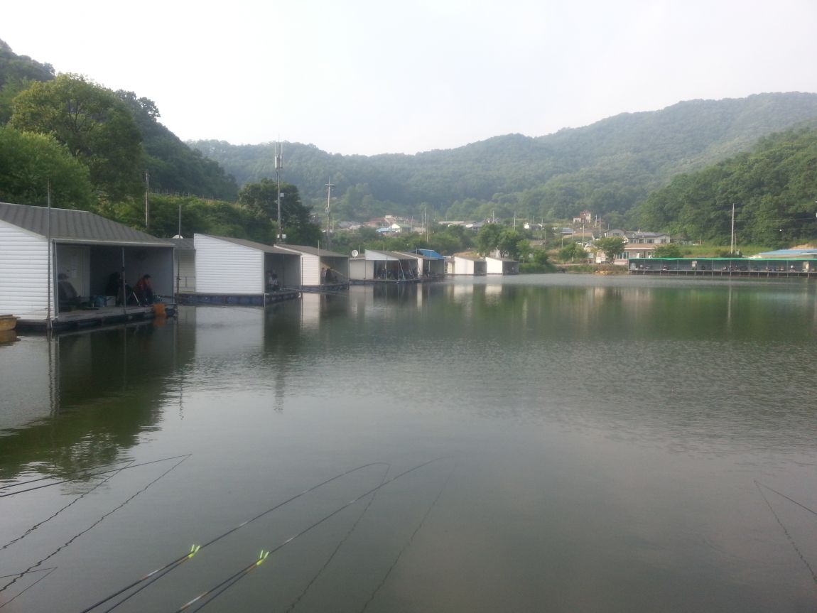 20150530_171758.jpg