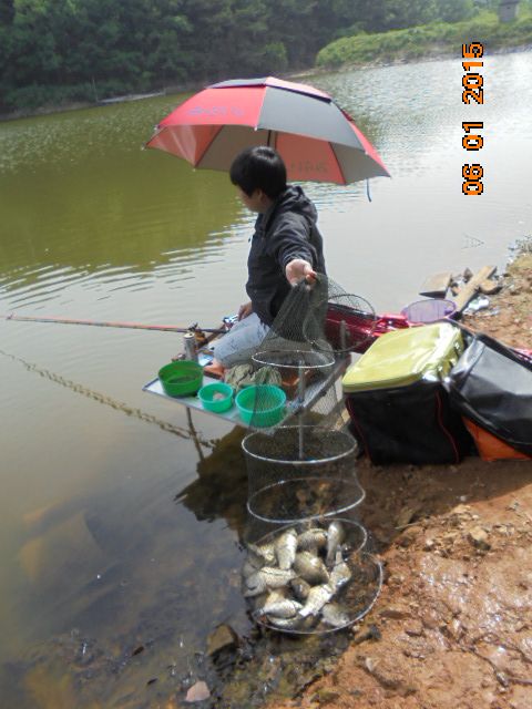 DSC02012.JPG