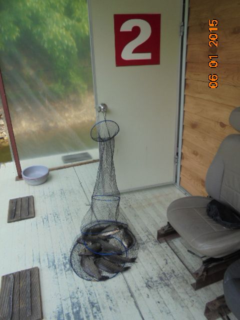 DSC02017.JPG