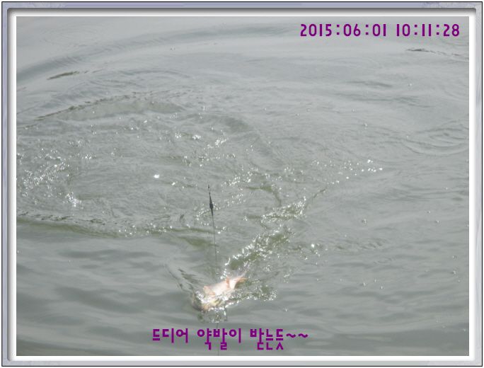 �ٹ̱�_IMG_1968.JPG