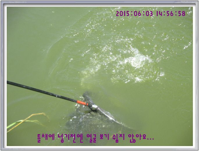 �ٹ̱�_IMG_1972.JPG