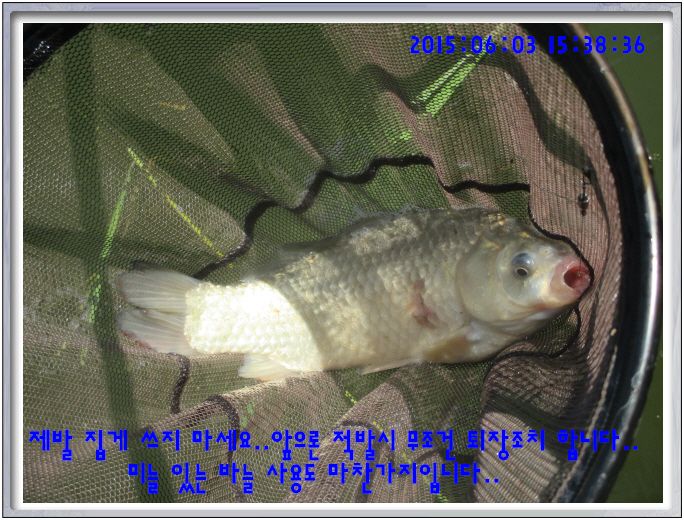 �ٹ̱�_IMG_1974.JPG