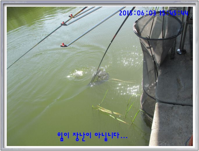 �ٹ̱�_IMG_1975.JPG