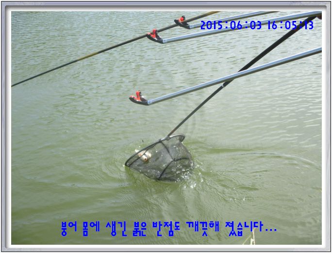 �ٹ̱�_IMG_1976.JPG