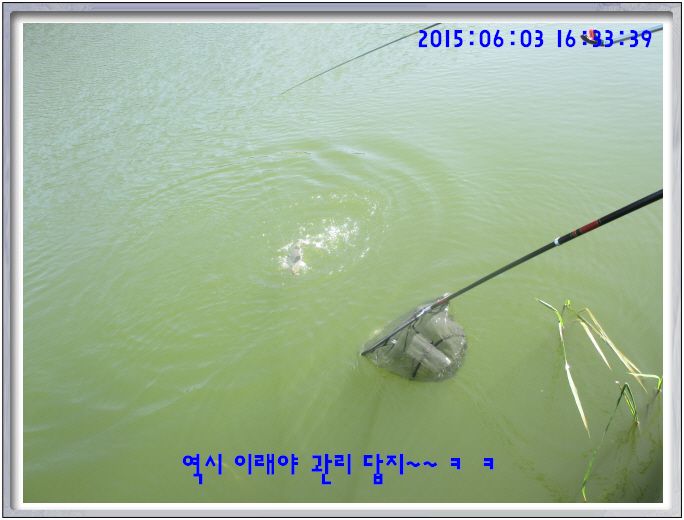 �ٹ̱�_IMG_1978.JPG