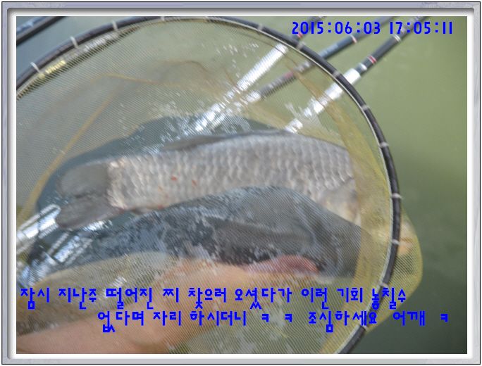 �ٹ̱�_IMG_1982.JPG