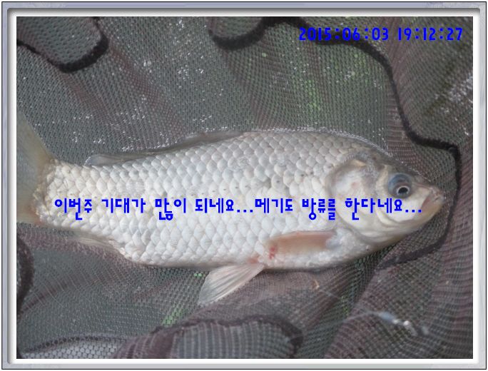 �ٹ̱�_IMG_1989.JPG