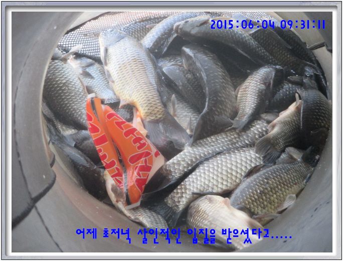 �ٹ̱�_IMG_1992.JPG