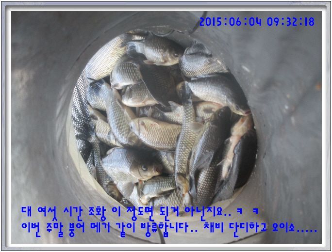 �ٹ̱�_IMG_1994.JPG