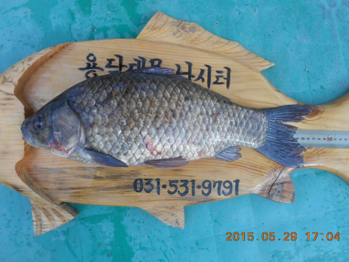 DSCN3816.JPG