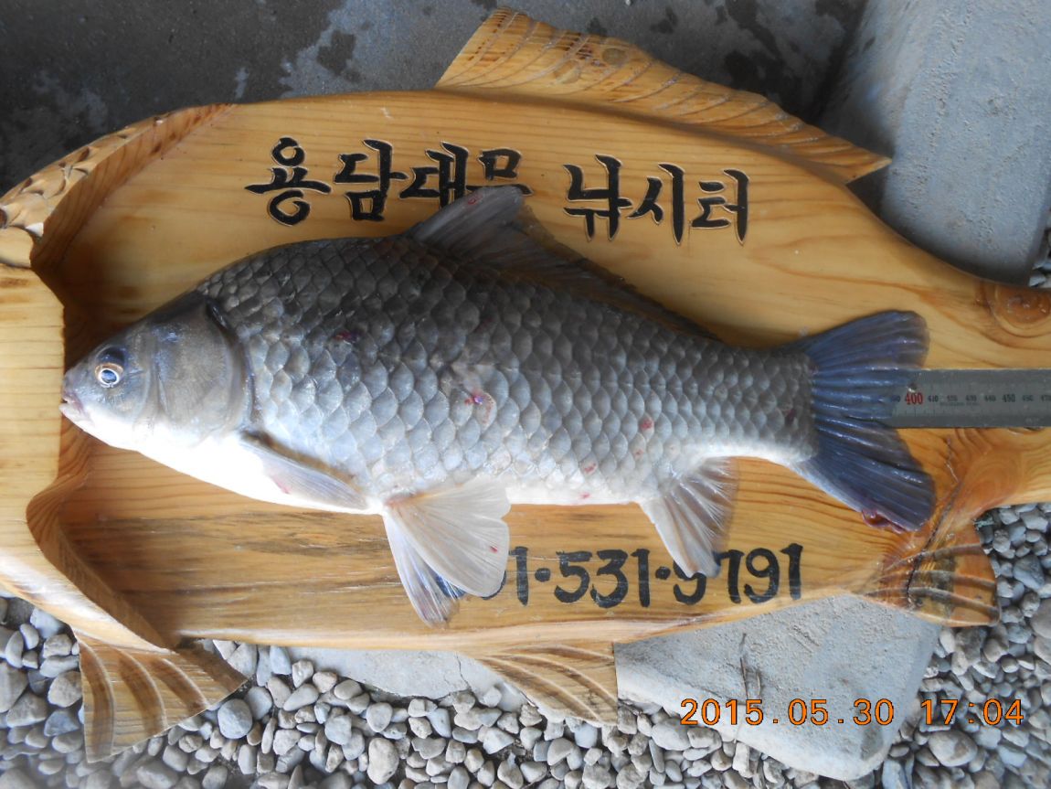 DSCN3824.JPG