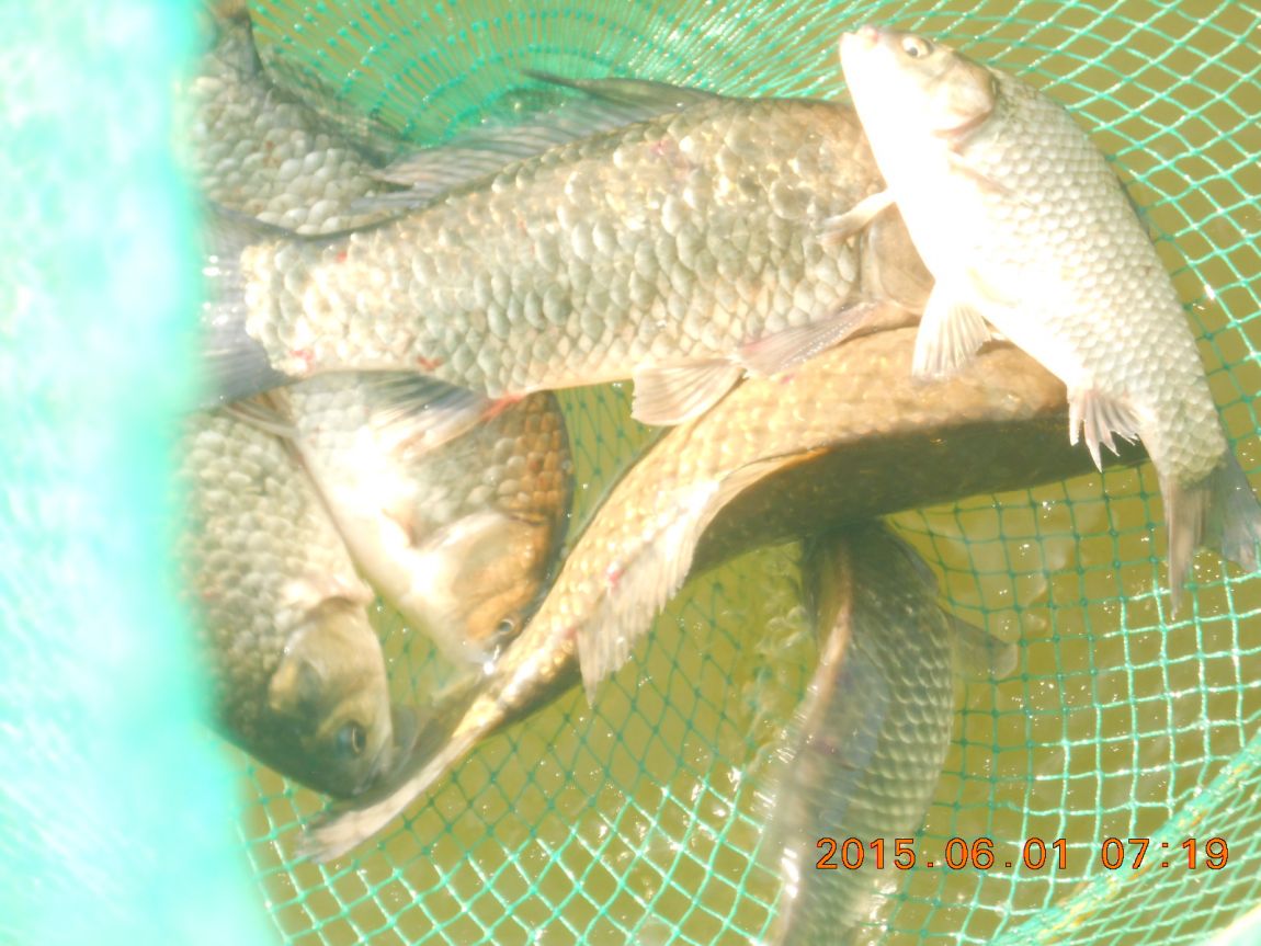 DSCN3844.JPG