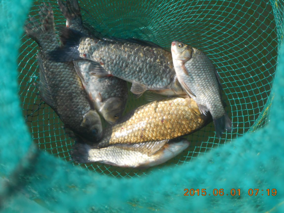 DSCN3845.JPG
