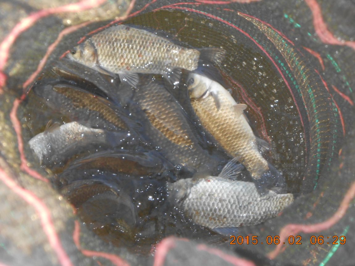 DSCN3849.JPG