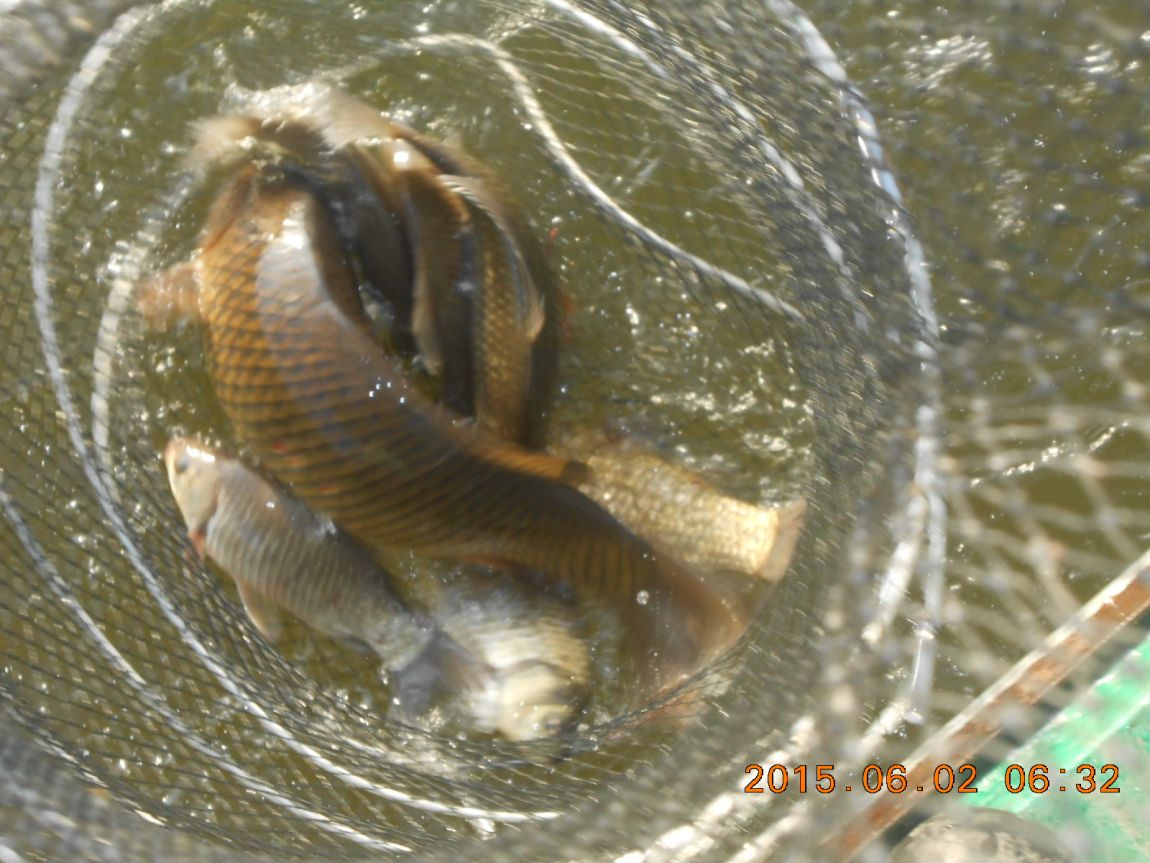 DSCN3850.JPG