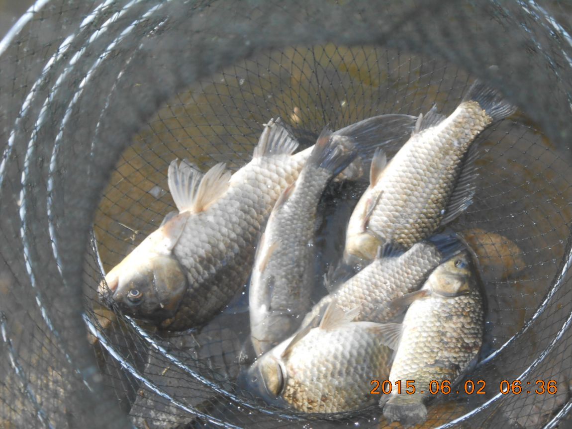 DSCN3853.JPG