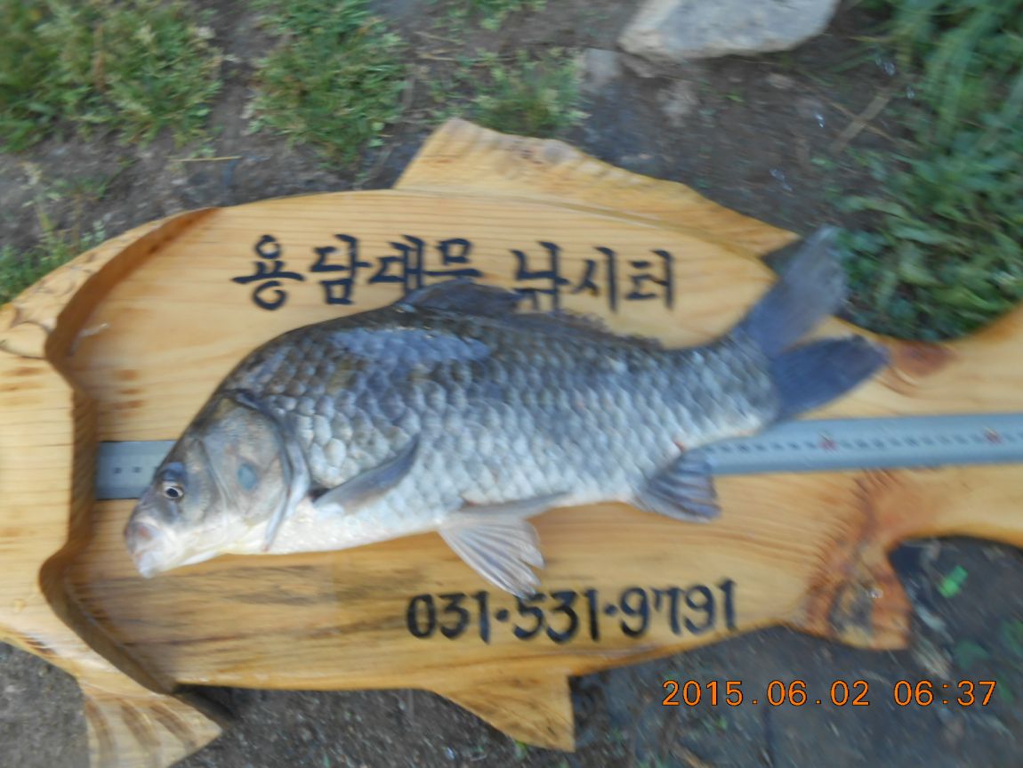 DSCN3854.JPG