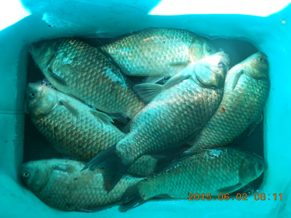 DSCN3856.JPG