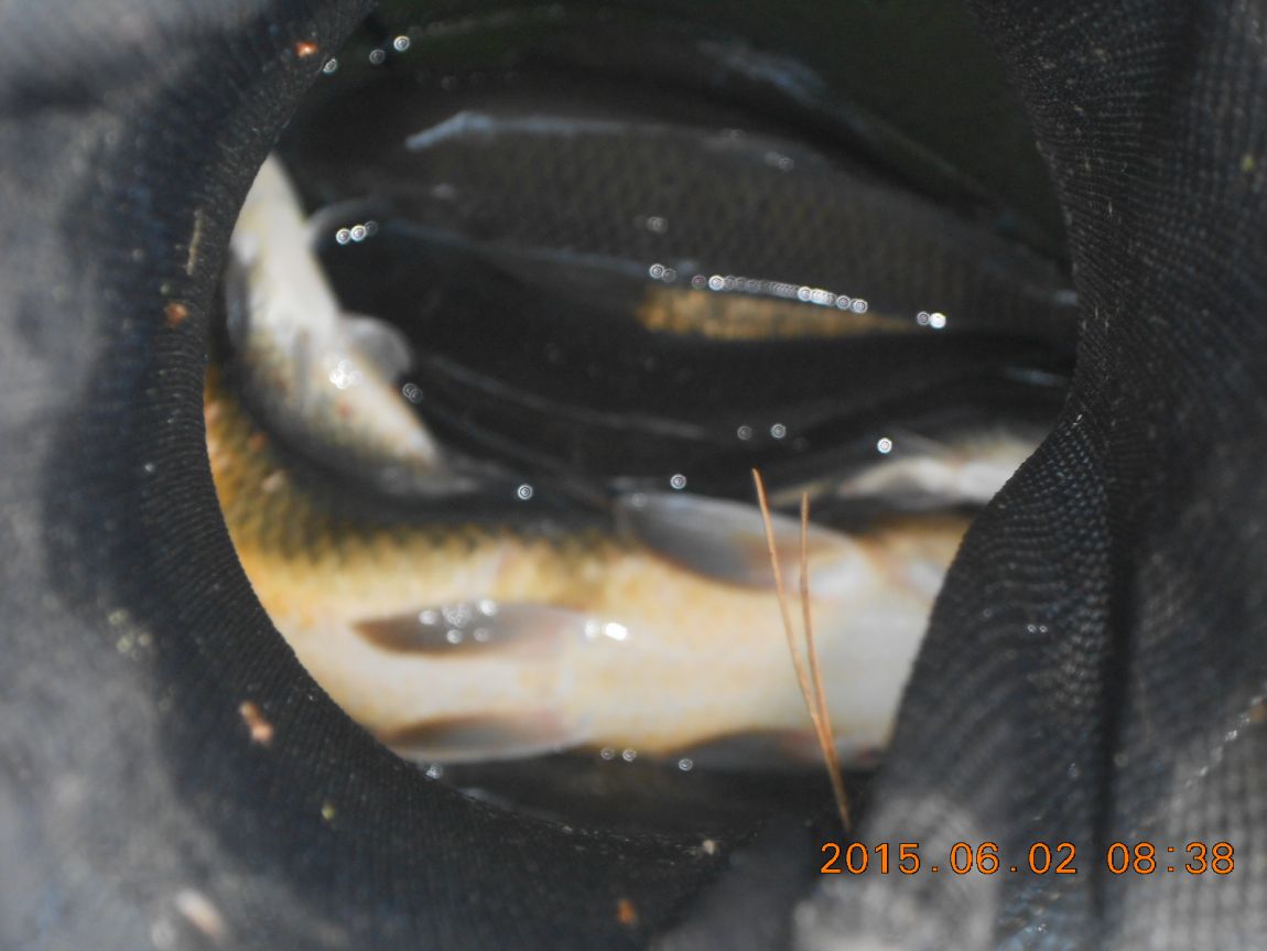 DSCN3857.JPG