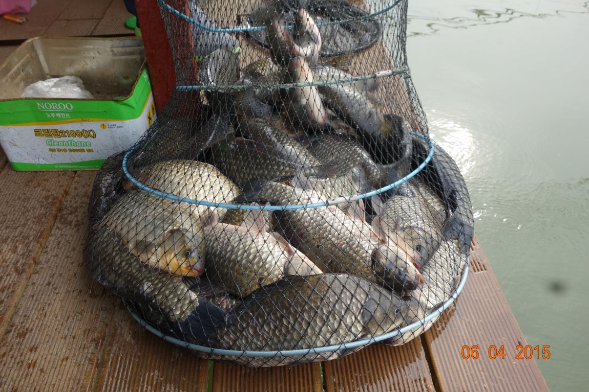 DSC04962.JPG