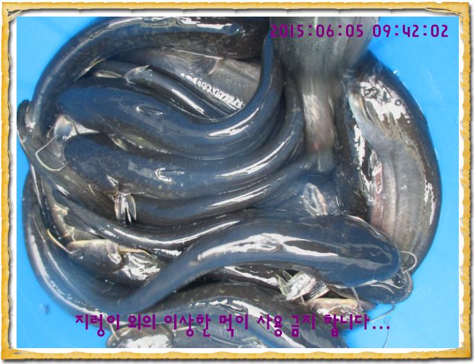 ٹ̱_IMG_2005.JPG