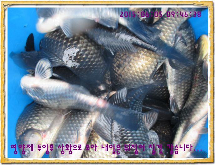 ٹ̱_IMG_2008.JPG
