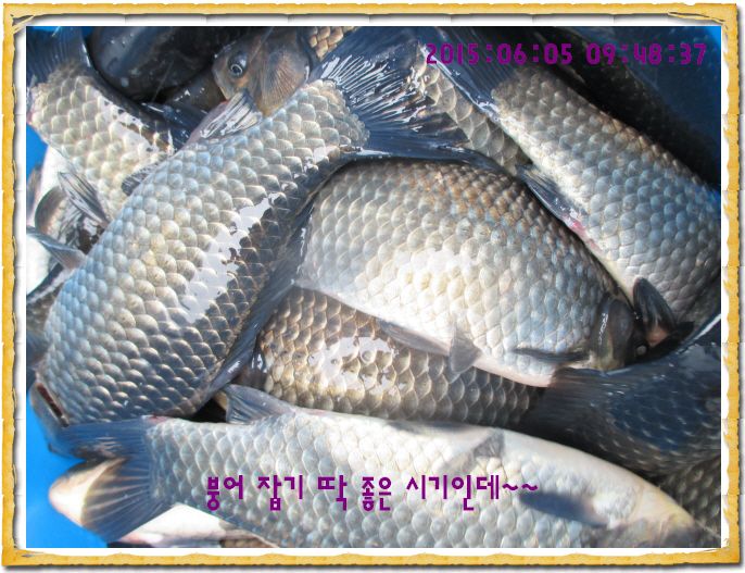 ٹ̱_IMG_2012.JPG