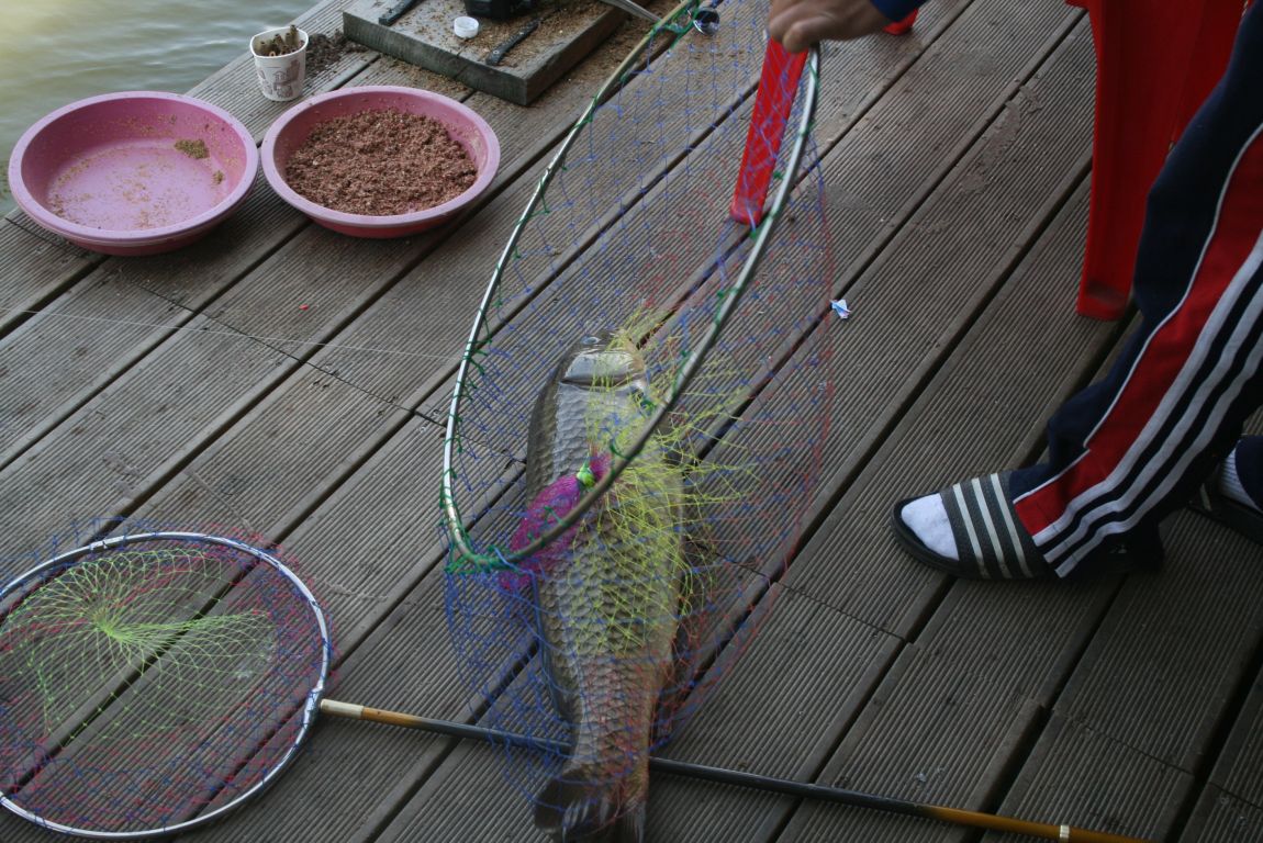 IMG_3114.JPG
