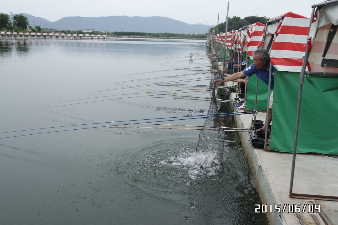 6��5�� 006.JPG