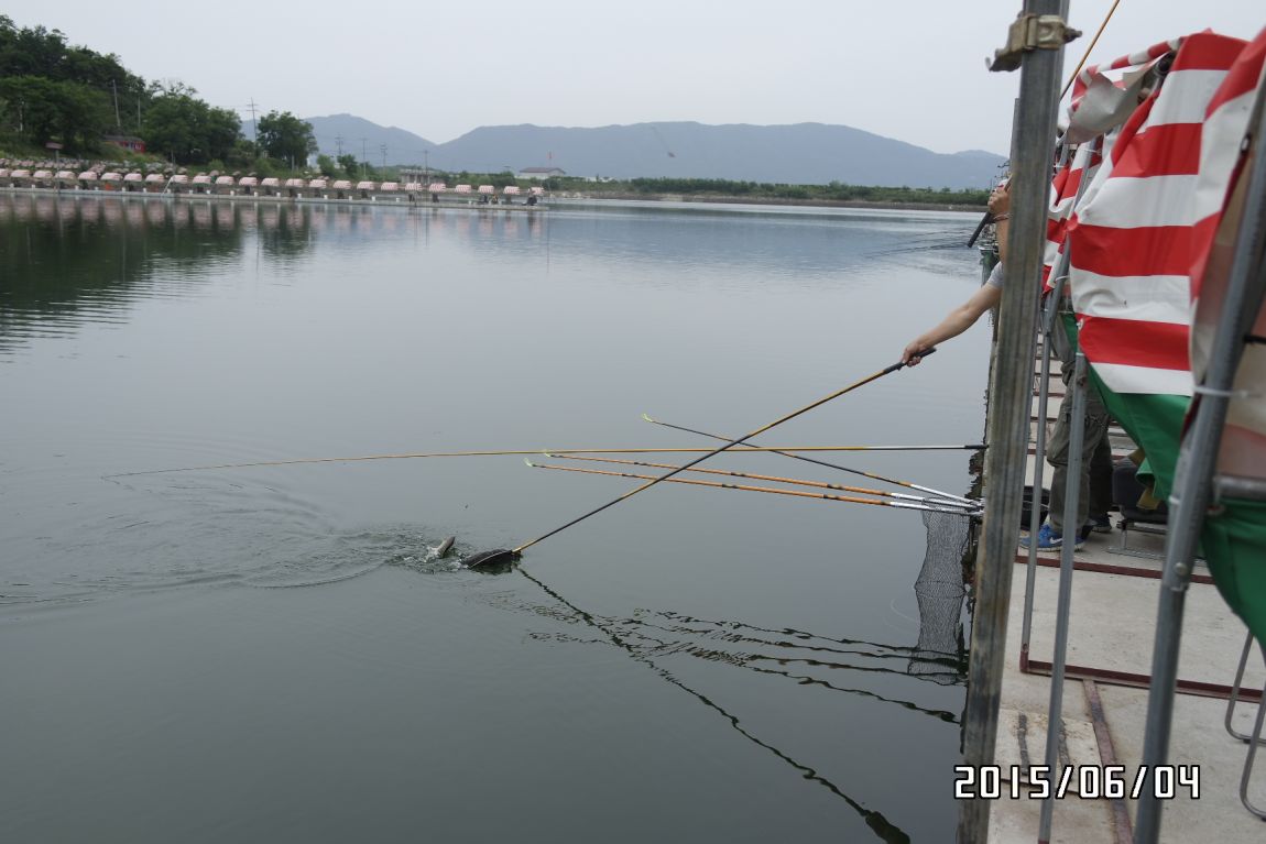 6��5�� 008.JPG