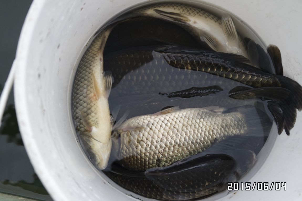 6��5�� 017.JPG