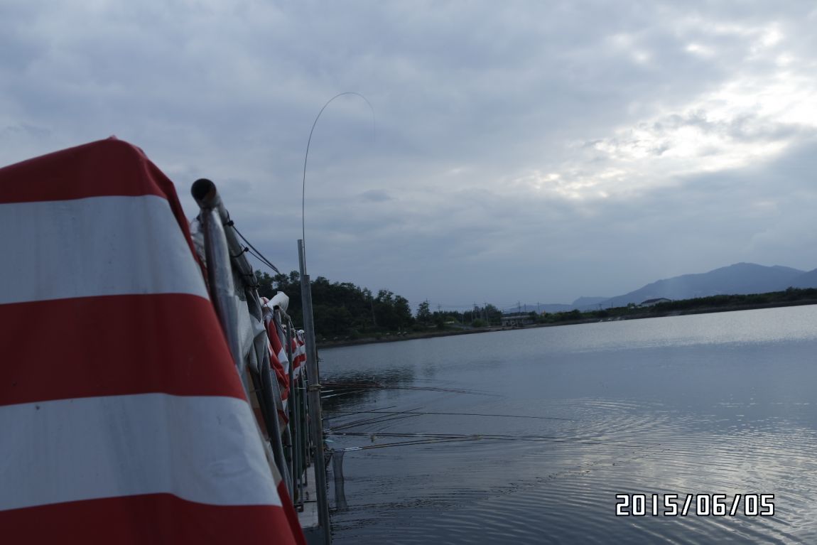 6��5�� 002.JPG