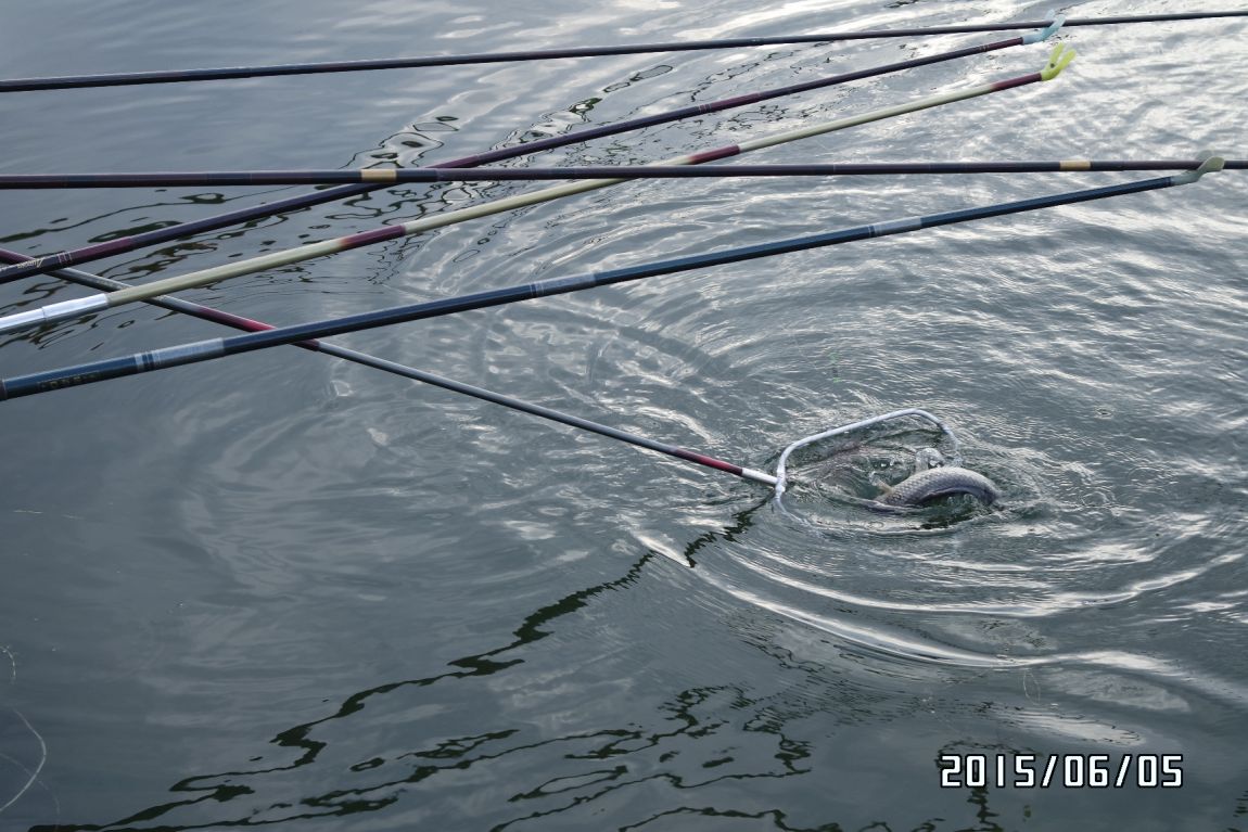 6��5�� 005.JPG