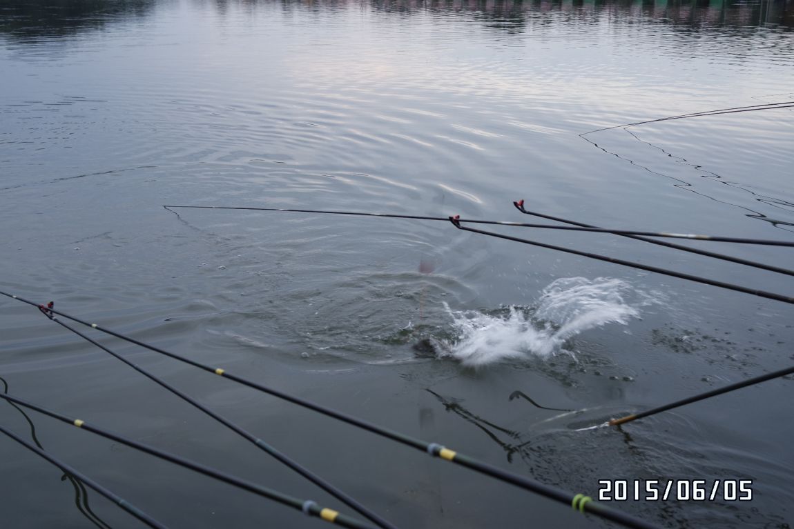 6��5�� 009.JPG