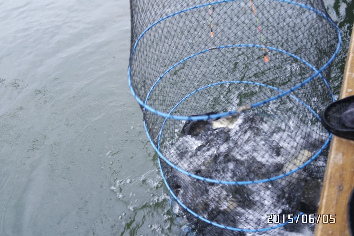 6��5�� 013.JPG